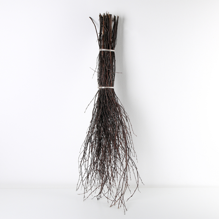 Метла березовая без черенка