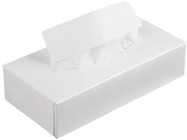 Салфетки косметические 2сл 100листов белые Plushe Professional 