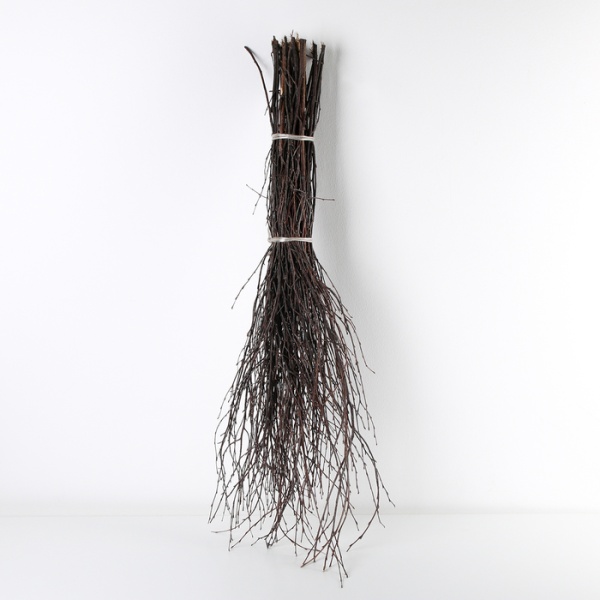 Метла березовая без черенка