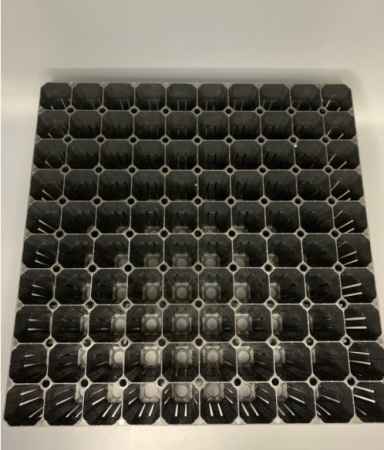 Кассета рассадная лесная РКЛ-100 / 385×385×90 мм